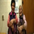 실버인지미술 이미지