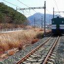 곡성집라인 이미지