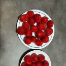 희수농장 이미지