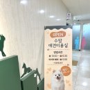 수암동물병원 네이버블로그