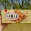 누네띠네 이미지