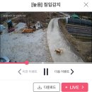 범이네농장 이미지