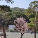 산내 버스터미널 | 통도사 산내 암자 순례기(2025년 세 번째)