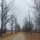 조선육회 의왕점 | 엄마생신 효도여행 근거리 1박 2일 썬밸리호텔 강천섬 여주 여행