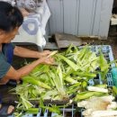 산마루정 이미지