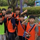 경희대 품희 태권도장 이미지