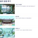 춘천역 관광안내소 | 춘천시티투어버스 완벽 가이드🚍 | 평일·주말 코스, 시간표, 예약 방법 총정리!