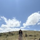 돌산가축 이미지