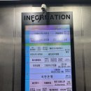 어정역 미용실 인스타헤어 동백점, 레이어드펌 후기