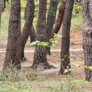 송정해변길 이미지