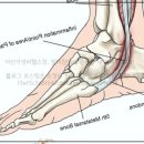 빌더짐 | 아산가성비헬스장, 빌더짐에서 운동한 내 솔직한 후기!