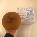 옐로우히포(YELLOW HIPPO) | 영국 런던 근교 여행 추천 스톤헨지 바스 투어 후기