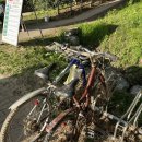 자전거 생각 이미지