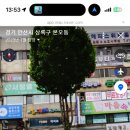 도로시파스타연정본오점 이미지