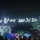 아침고요수목원 빛축제 이미지