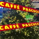 까페 파스쿠찌 | [카페 파스쿠찌]내돈내산 후기ㅣ카페 분위기, 리뷰