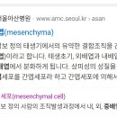 간엽 줄기세포가 미분화＞중배엽 근육요소가 어디에있음? 정신병자들임? ㅋ 주파수 젖문가년들 꼬근육 공격을 해댐 이미지