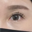 5384 | [대전 봉명동] 대전 속눈썹 연장 잘하는 봉명동속눈썹 연장 잘하는 샵, 설브 대전봉명본점 솔직후기