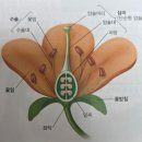 들풀아카데미 8월 후기 이미지