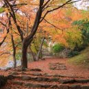 곱게 늙는 것은 축복입니다 이미지