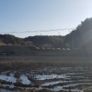 상시동1리 이미지