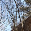 울도보건진료소 이미지