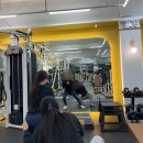 풀핏 덕포 | 사상 덕포 여자 PT 후기｜헬린이 직장인 첫 다이어트 PT