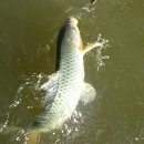 한터낚시터 이미지