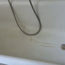 바우마켓 이미지