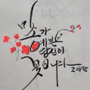 캘리 그래피 Daum카페