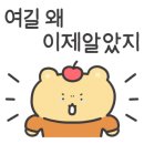 거북이경양식 이미지