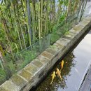 실라마실1 이미지