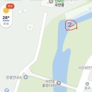 나링 | 단양 계곡 추천/사인암 계곡 물놀이 후기/주차, 구명조끼 무료 대여