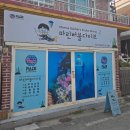 창원 프리다이빙 원데이체험 &#39;마린버블다이브&#39; 만족후기