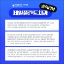 제일치과기공소 네이버블로그