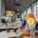 형제조류 | 형제섬 스노쿨링 호핑투어 제주해양레저사계 추천 이유?