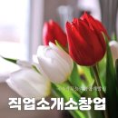 정관장미장