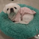 산본유치원 이미지