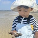 골드하우스 펜션 | 태안 갯벌체험 :: 골드하우스 펜션 / 바베큐 / 태안갯벌체험장 펜션 / 진산리 갯벌체험장 / 아이랑갯벌체험