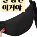 플로미니 네이버블로그