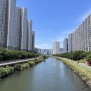 일상약국 네이버블로그