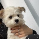 더지움의원 이미지