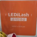 FOX-3 | 인천 구월동 펄뷰티에서 LED 연장 fox스타일로 받은 후기