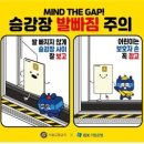 서울 지하철역 승강장 발빠짐 사고, 2030이 절반 넘어… “폰 보다가 꽝!” 이미지