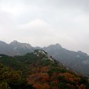 비봉상사 이미지