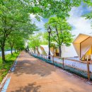 글램핑스테이션 이미지