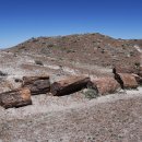 화석이 된 나무들 (Petrified Forest · National Park) 이미지