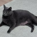 송도 종합 동물병원 이미지