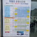 홀섬 민박 | 4박5일 여수 섬 투어 Day 3️⃣｜6월 9일 손죽도에서 만난 역사와 힐링 🛥️🌿