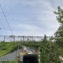 숲길 걷기 동아리 활동 이미지